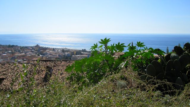 Amantea