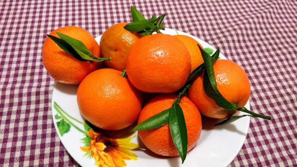 Calabrian citrus, Calabria at Christmas