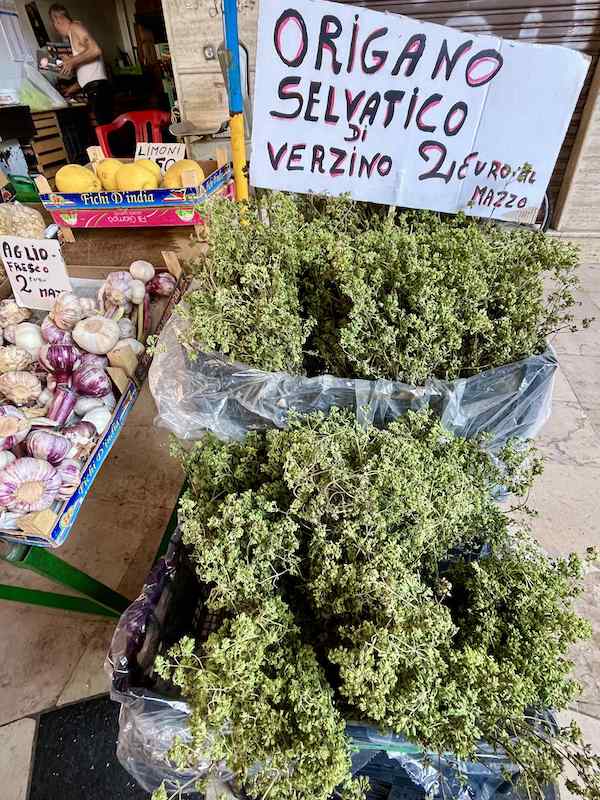 origano selvatico