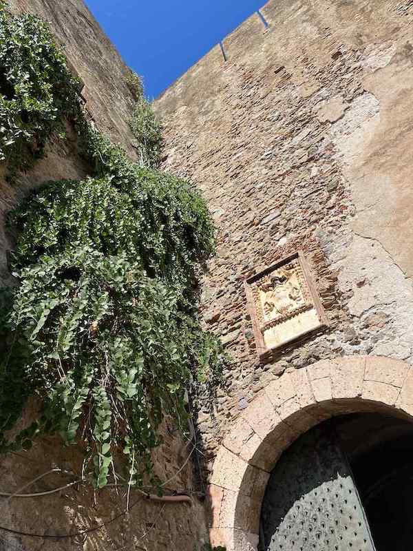 Scilla