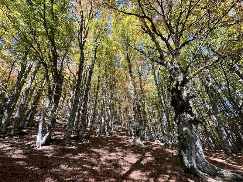 Vacation in Basilicata