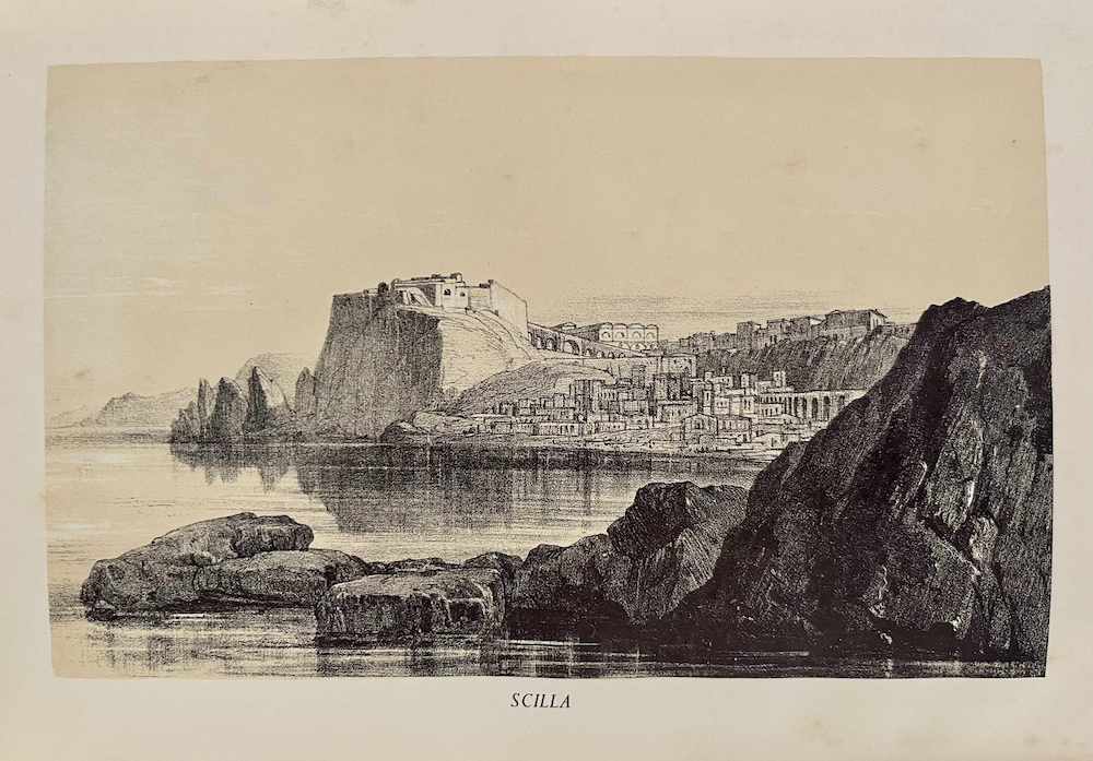 Scilla