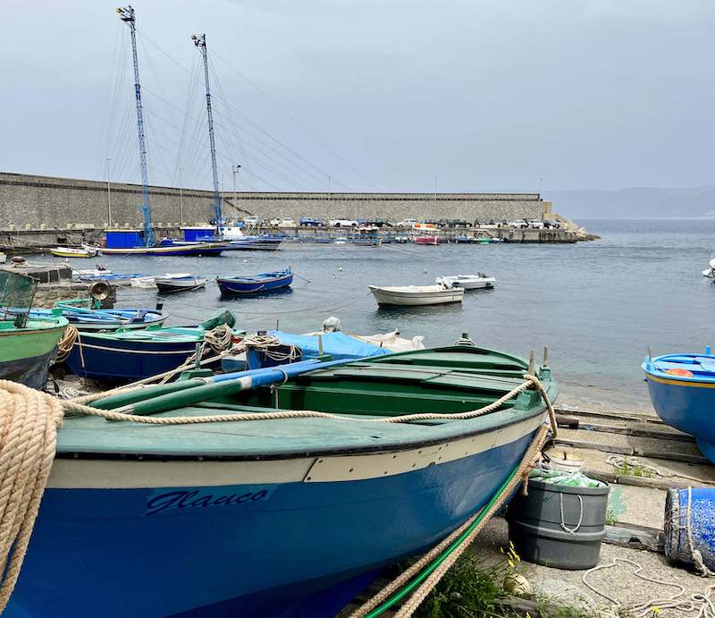 Scilla
