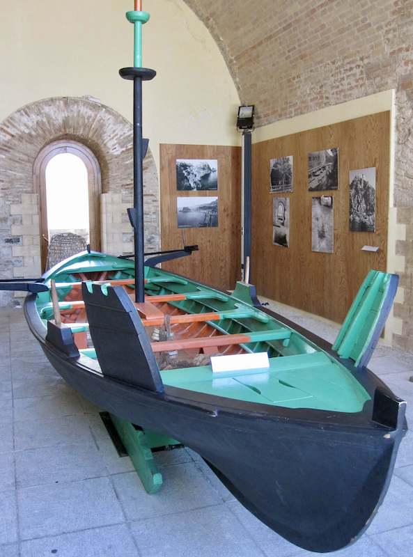 Scilla