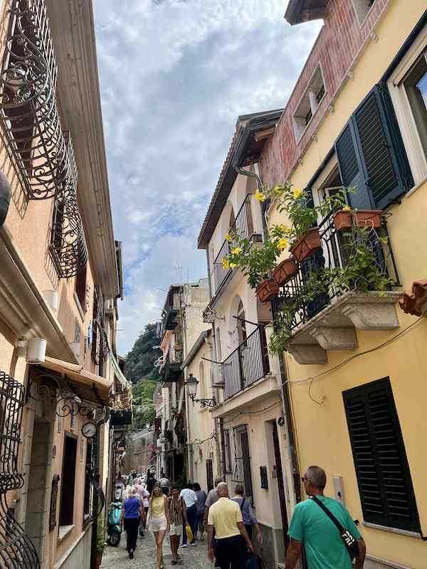 Scilla