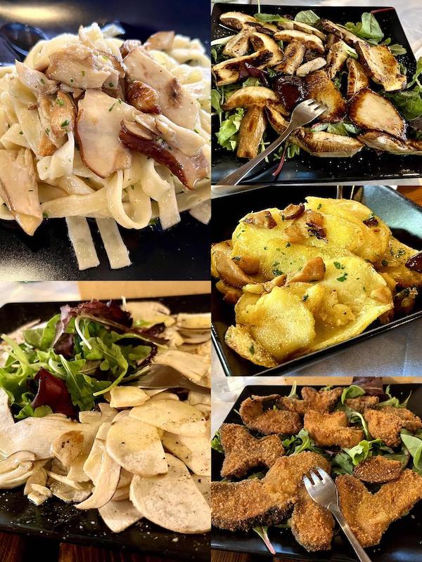 Calabrian mushrooms