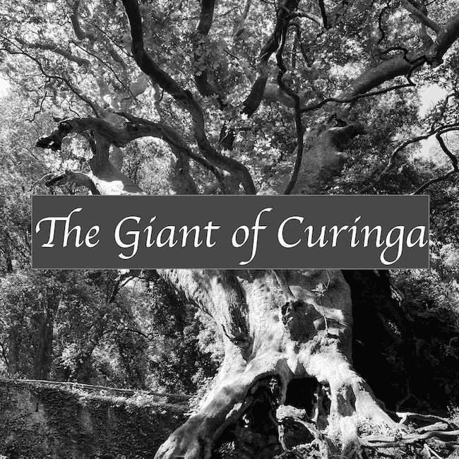 Curinga