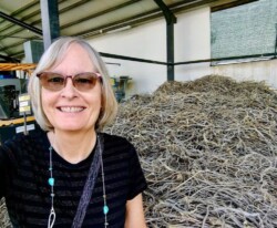 Karen Haid with licorice roots at the Amarelli Licorice Factory author Karen Haid