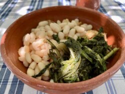 healthy food