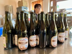 "La Bionda" organic beer made by Fattoria Bio in Calabria