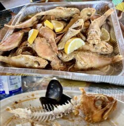 Fresh Calabria fish
