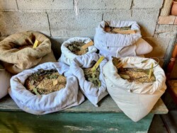 Calabria bread making