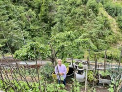 A lush garden in Calabria's Sila Mountains