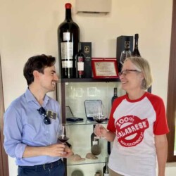 Calabrian wine