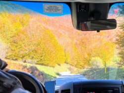 fall foliage in Italy