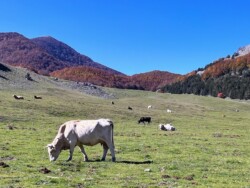 Italian National Park