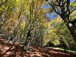 Fall in the Pollino Mountains